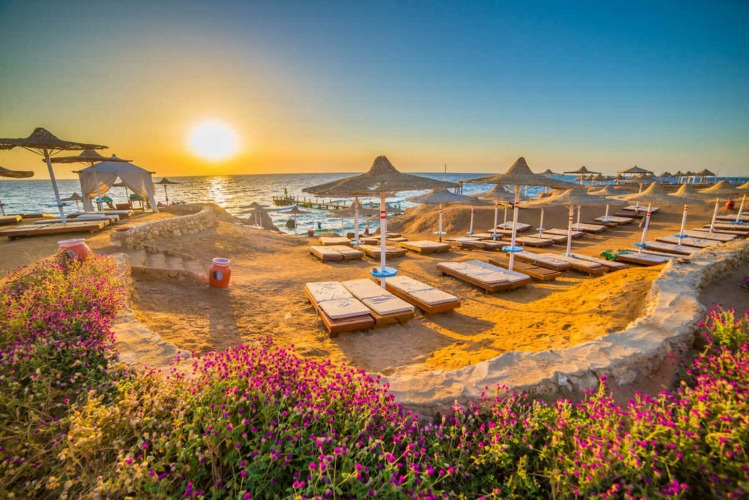 ტურიsharm el sheikh 3-10 november